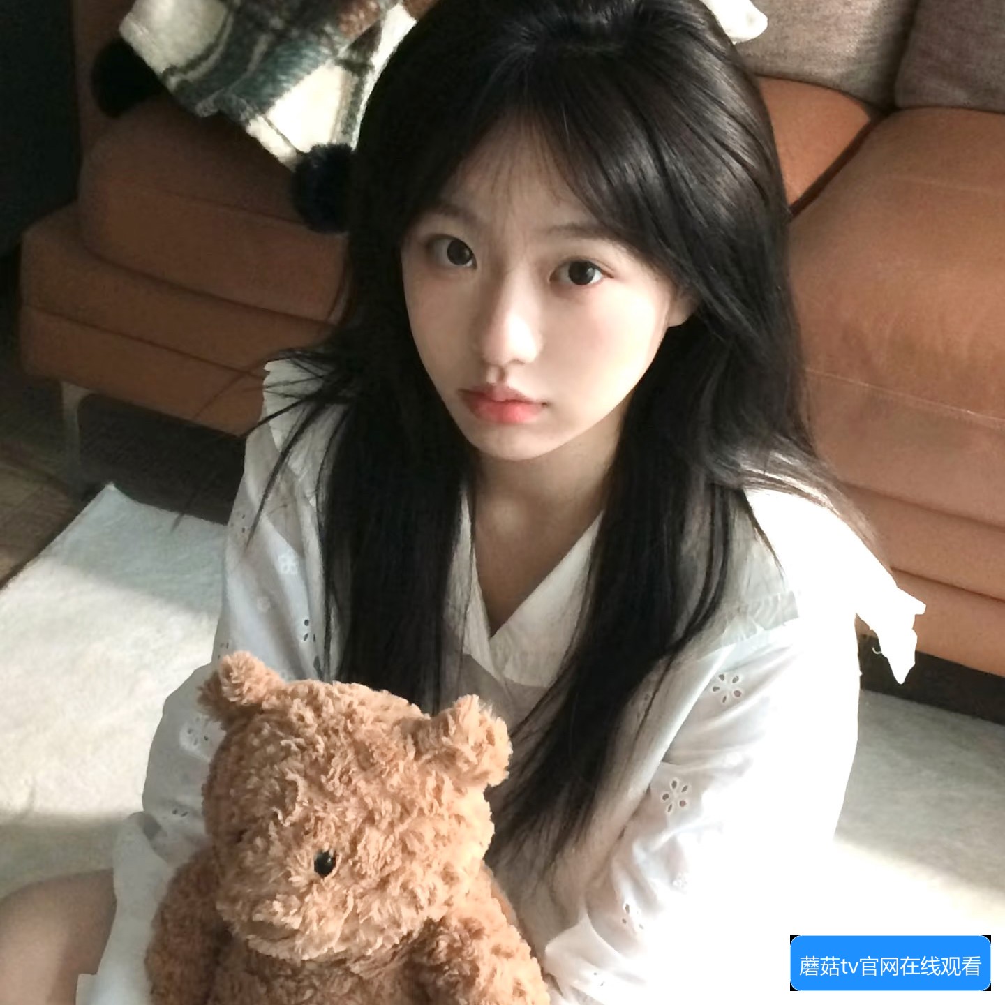 蘑菇tv官网在线观看