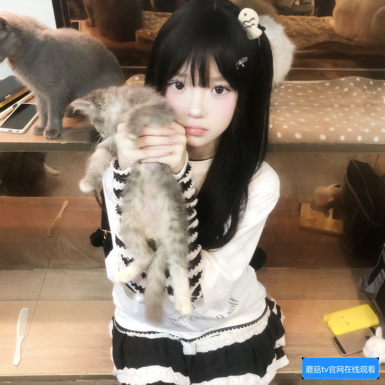 蘑菇TV官网有哪些常见功能和使用方法介绍