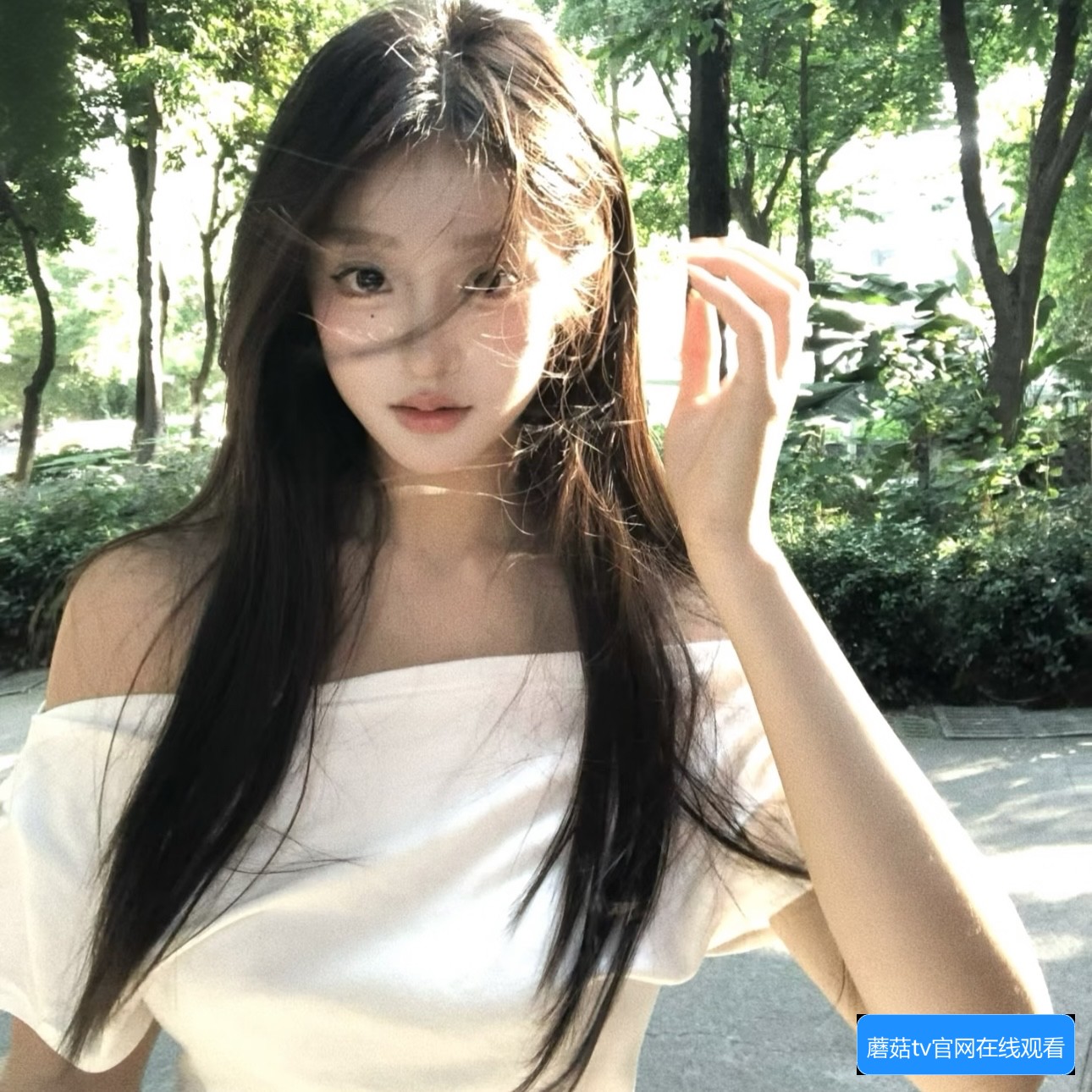 蘑菇TV和蘑菇传媒有哪些区别与联系，用户应该如何选择使用