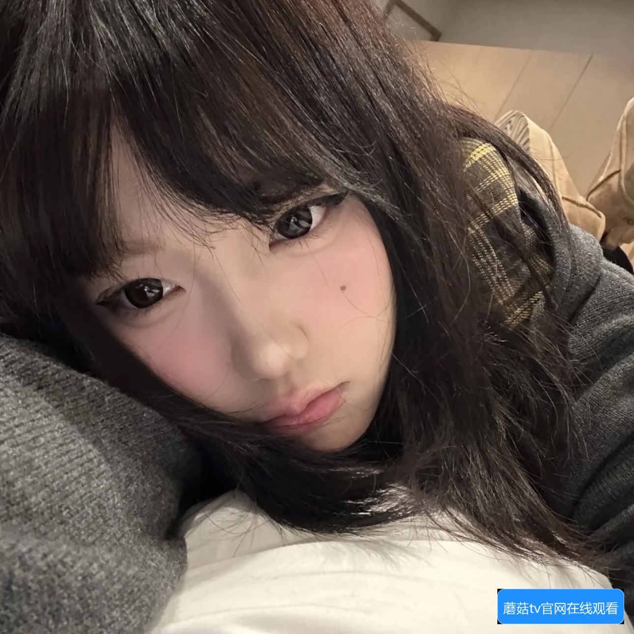 蘑菇TV传媒视频怎么下载及观看教程详解