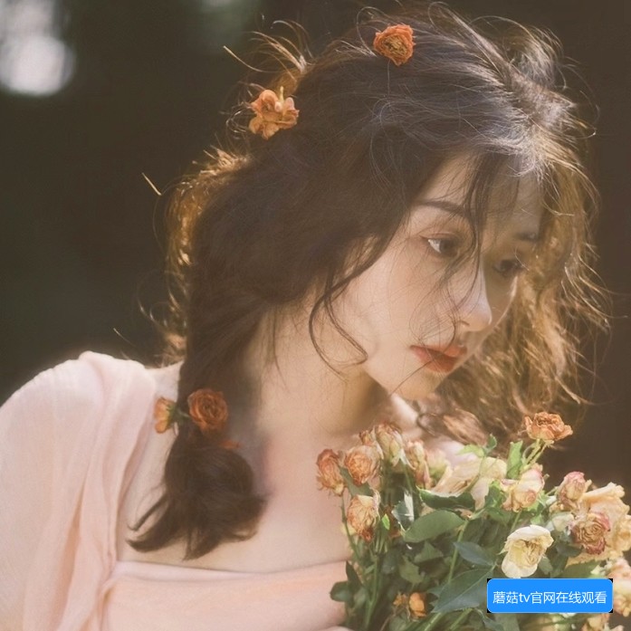 蘑菇TV官网有哪些常见功能和使用方法介绍