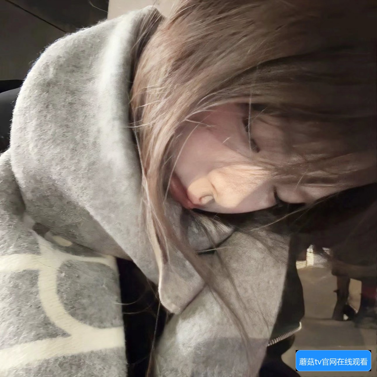 蘑菇TV和蘑菇传媒的关系及其主要功能解析