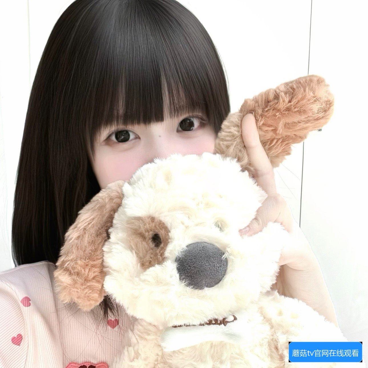 蘑菇TV和蘑菇传媒有哪些区别及其主要功能介绍