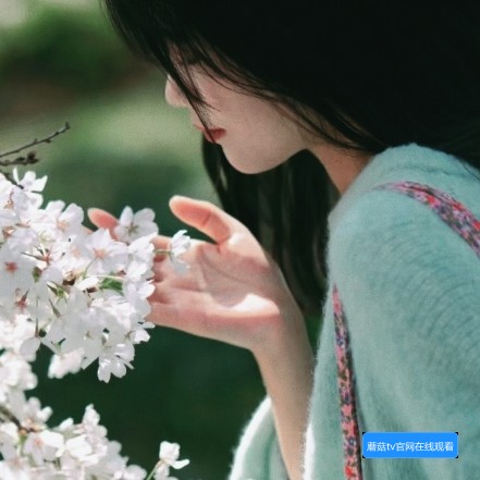 蘑菇TV网页跳转问题