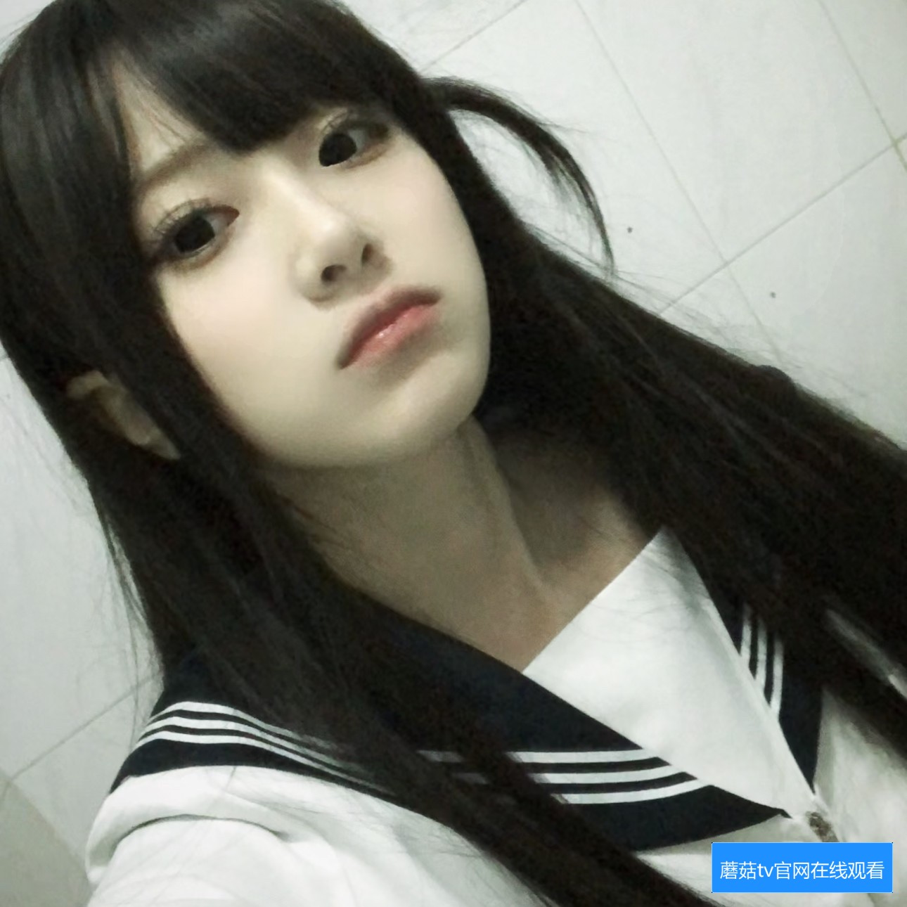 蘑菇TV网页版界面